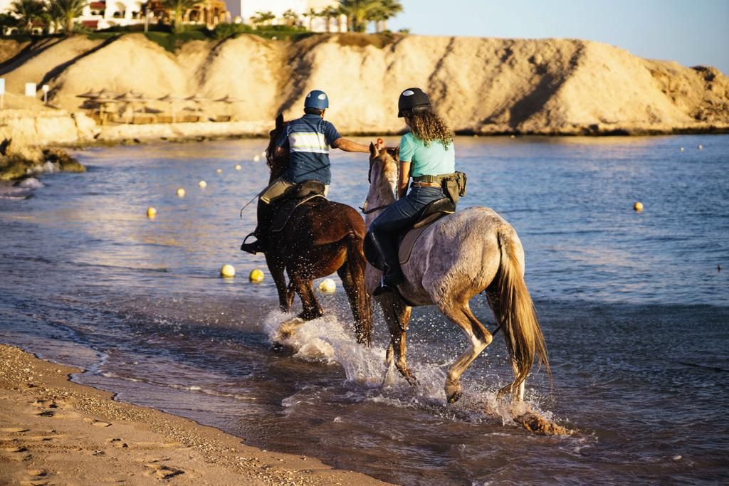 Seaside horseback riding near Poti